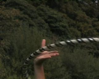 hooping lift out thumb roll