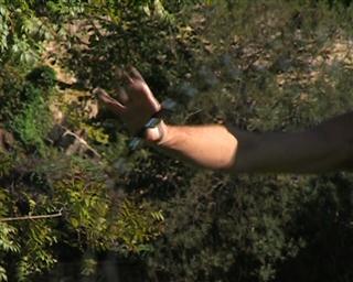 cross body thumb roll